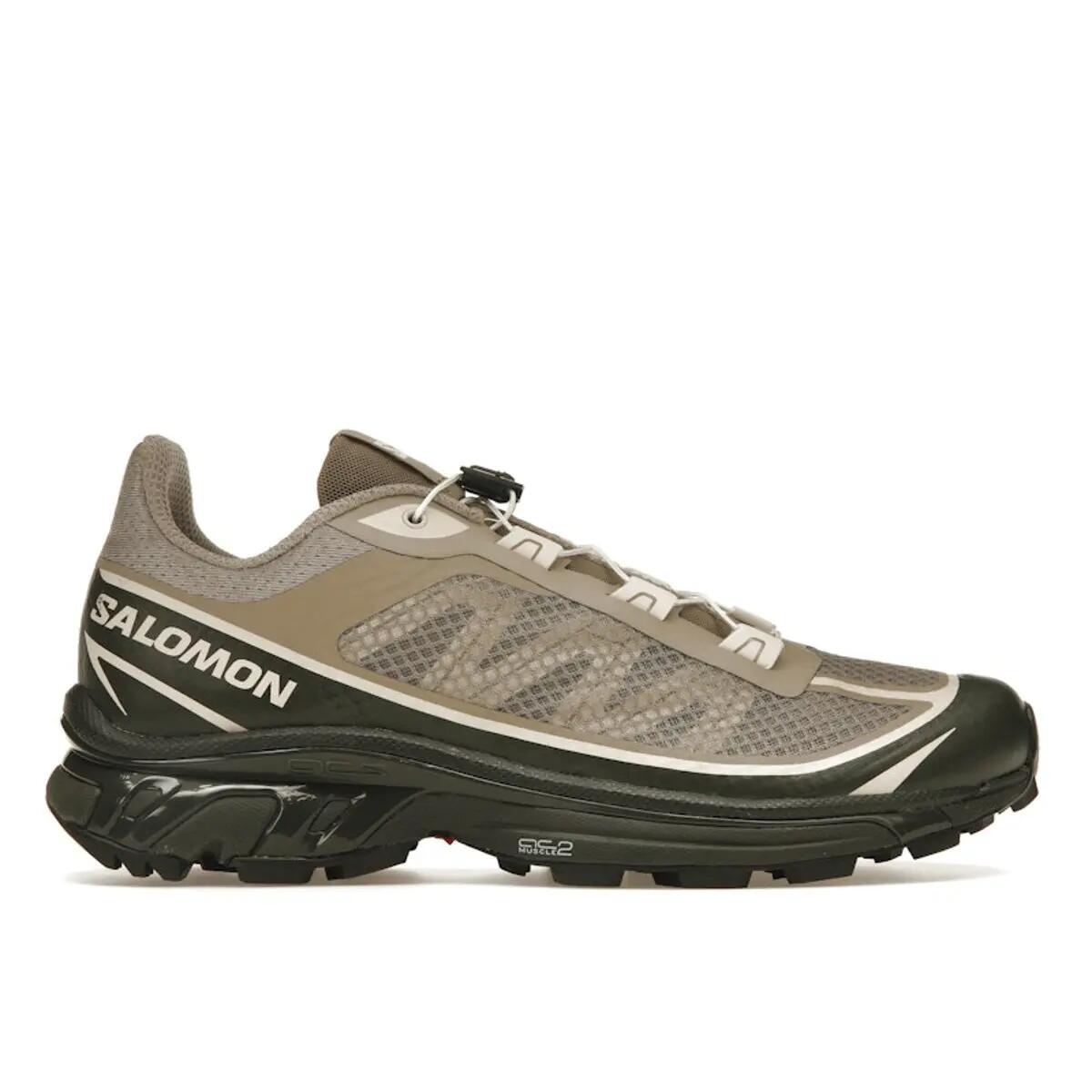 SALOMON picture