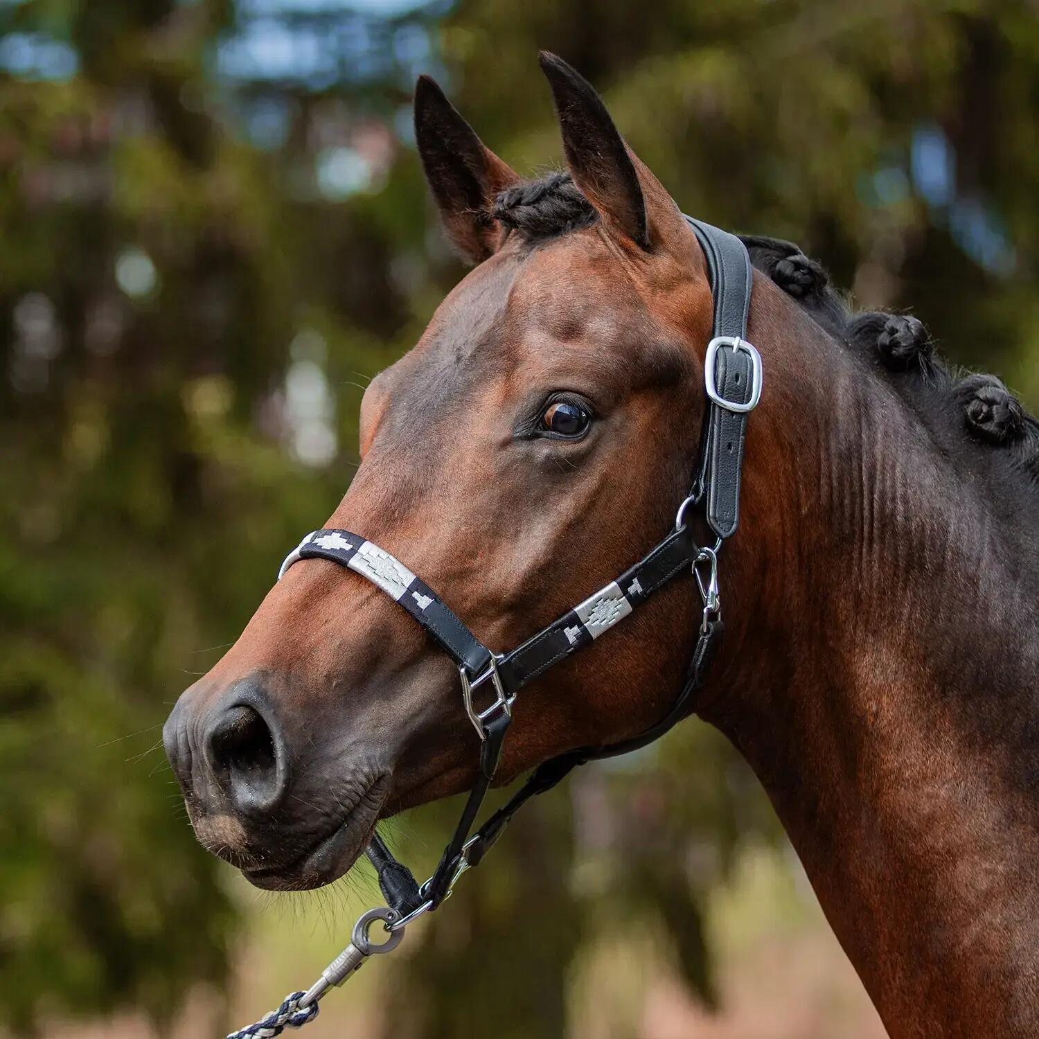 Licol en cuir pour cheval Bridlery 2/3