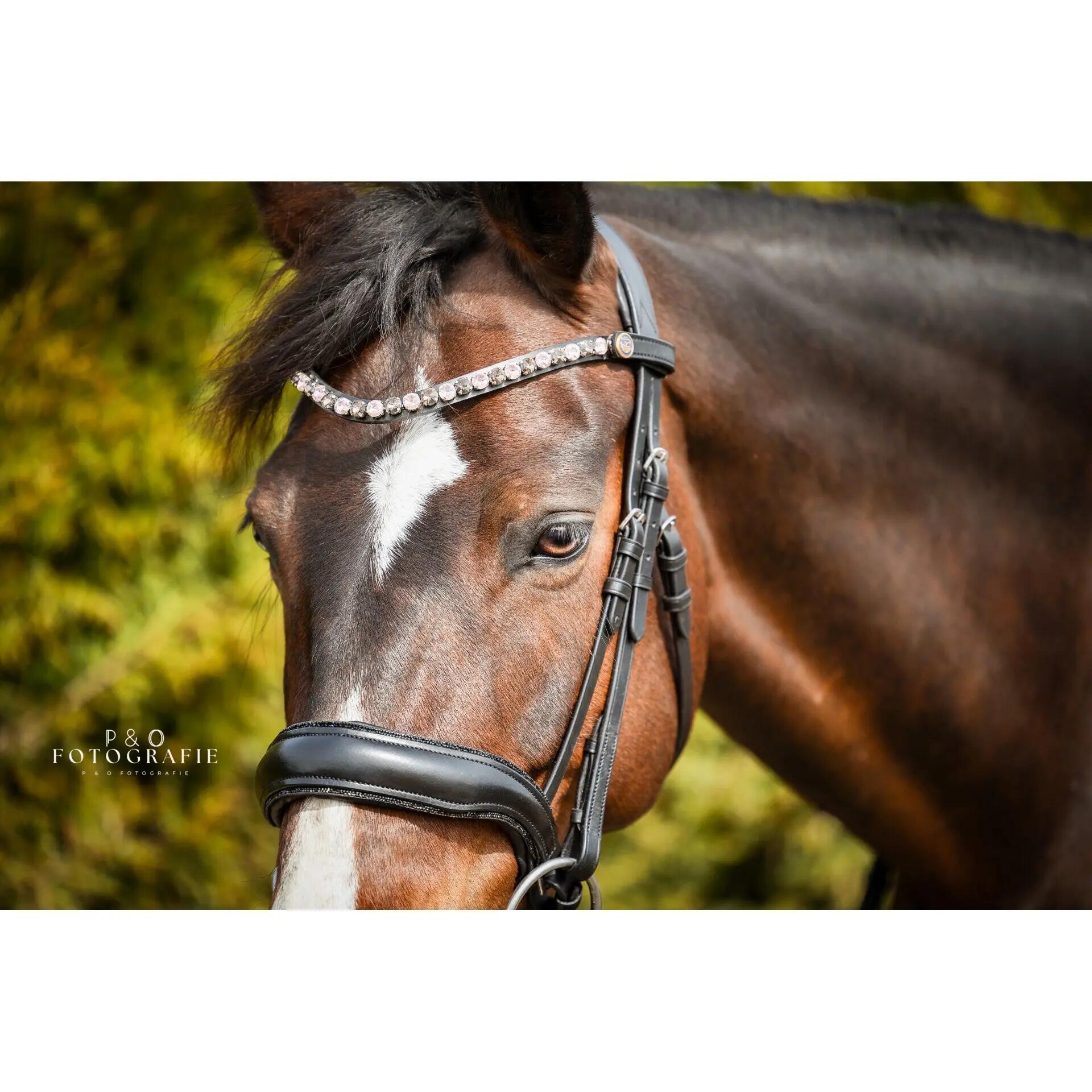 Frontal pour cheval motif chocolate rose Bridlery 5/5