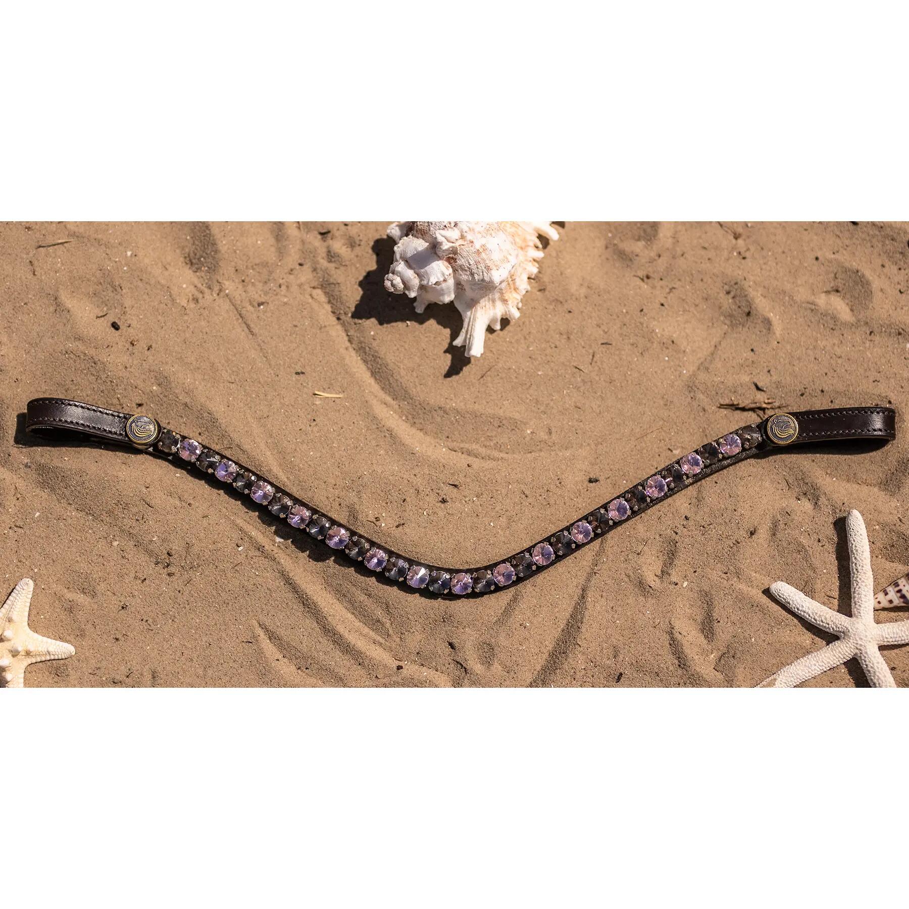 Frontal pour cheval motif chocolate rose Bridlery 4/5