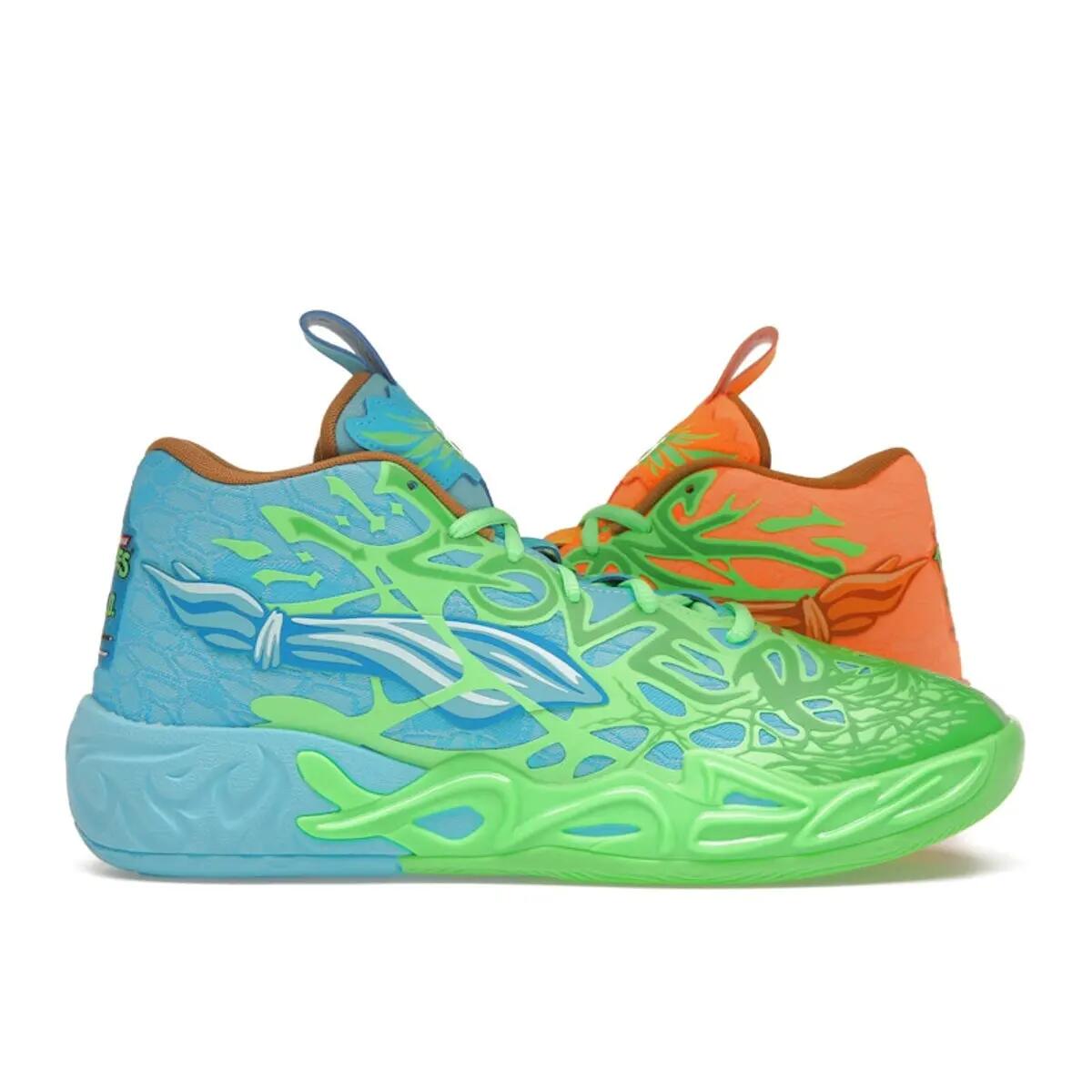 PUMA picture