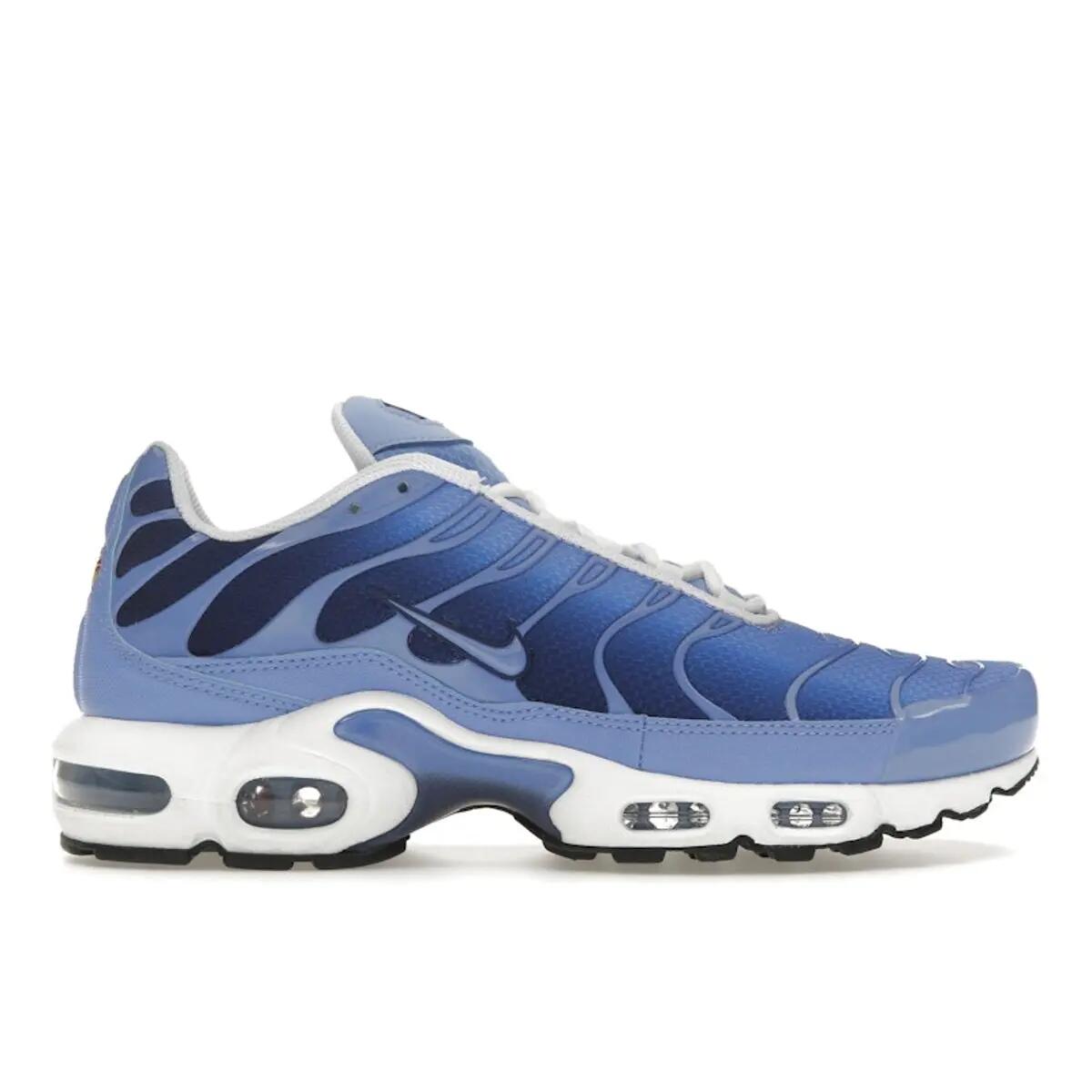 Nike Air Max Plus Royal Pulse 1/6