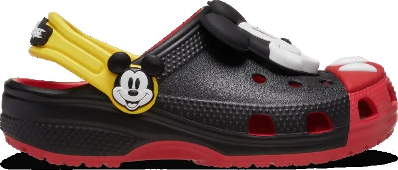 CROCS picture