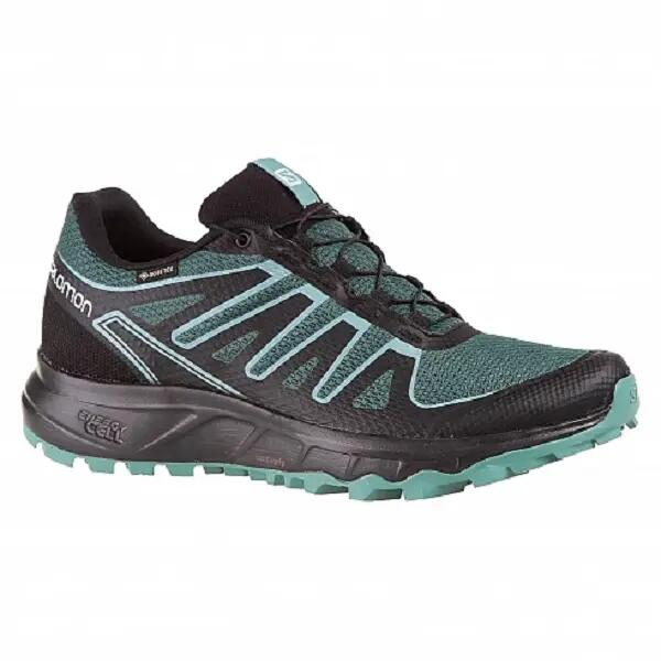 SALOMON picture