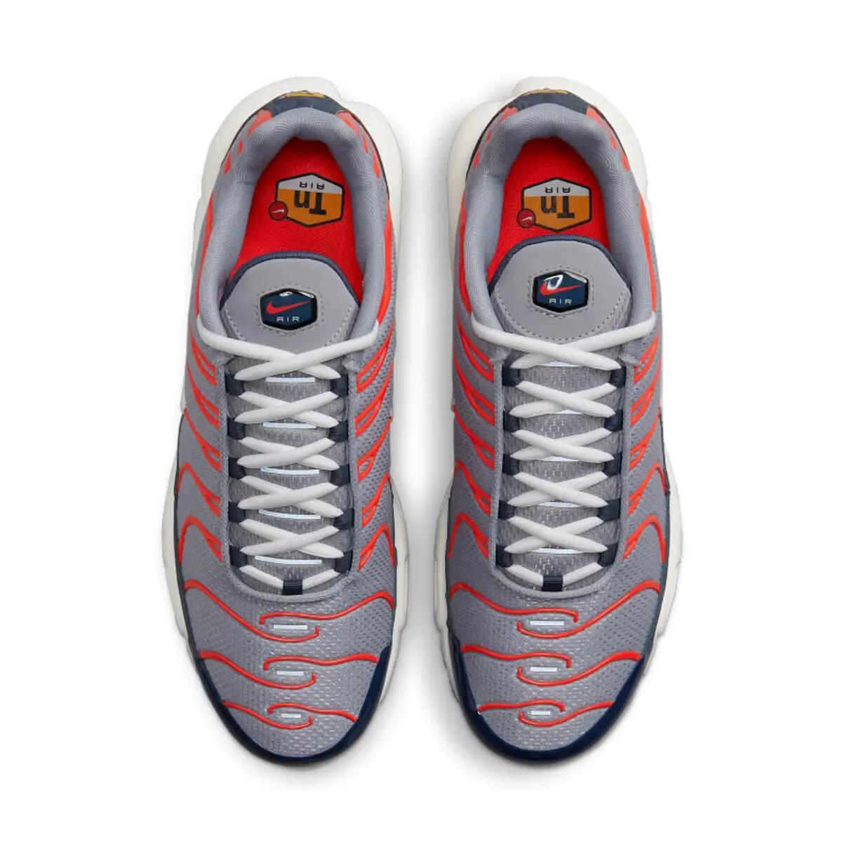 Nike Air Max Plus USA Grey 5/6