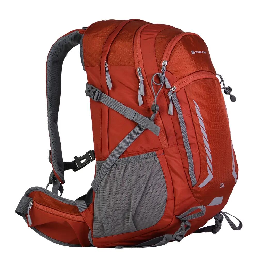 ALPINE PRO picture