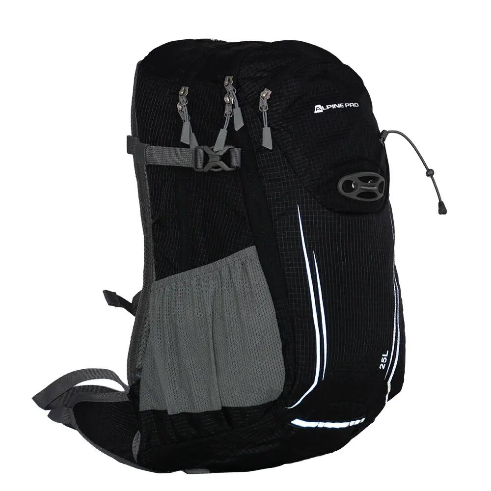 ALPINE PRO picture