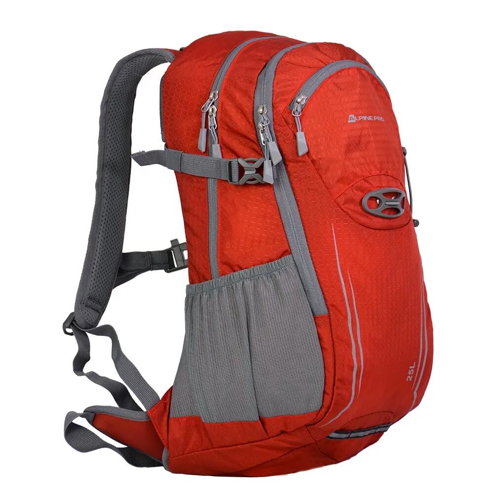 ALPINE PRO picture