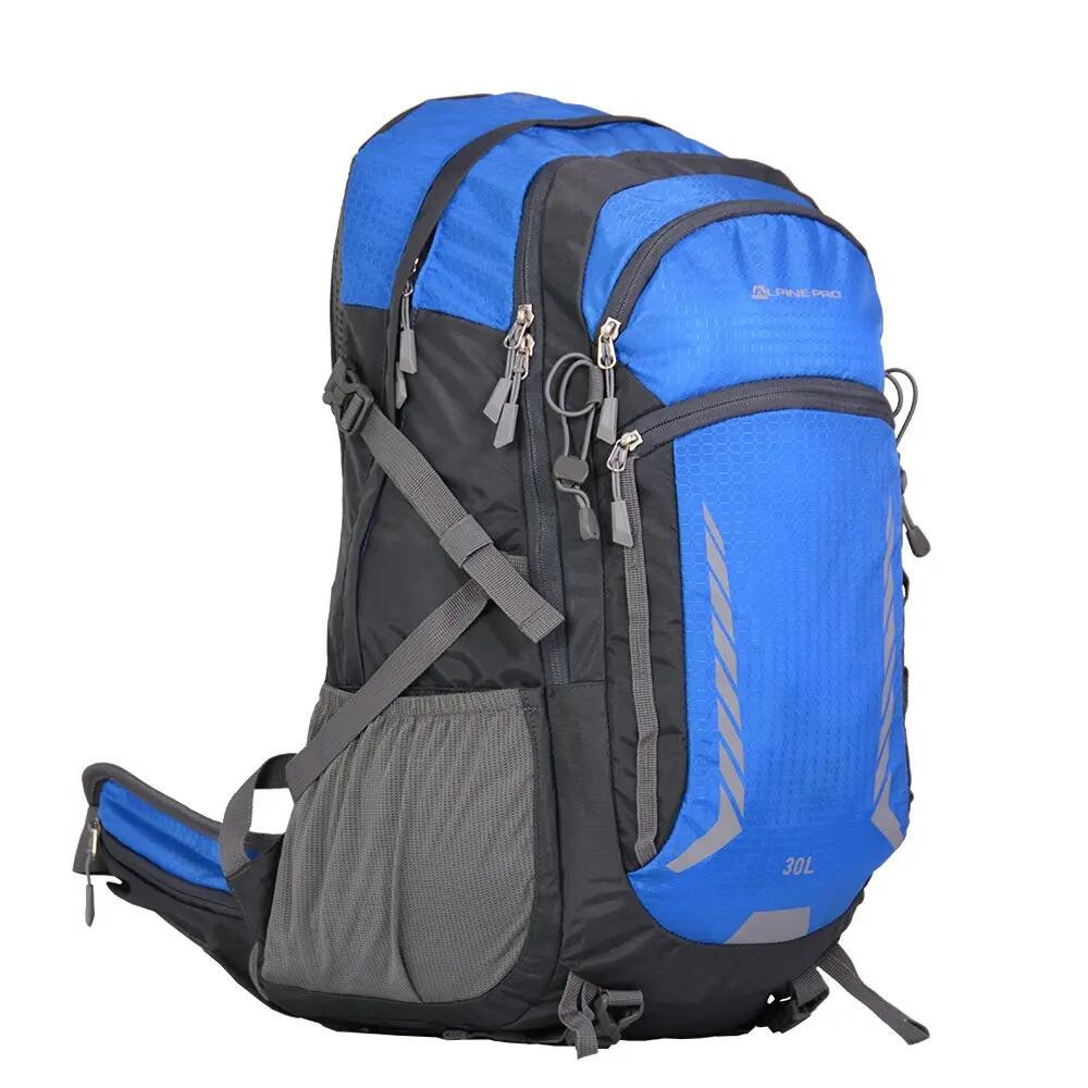 ALPINE PRO picture