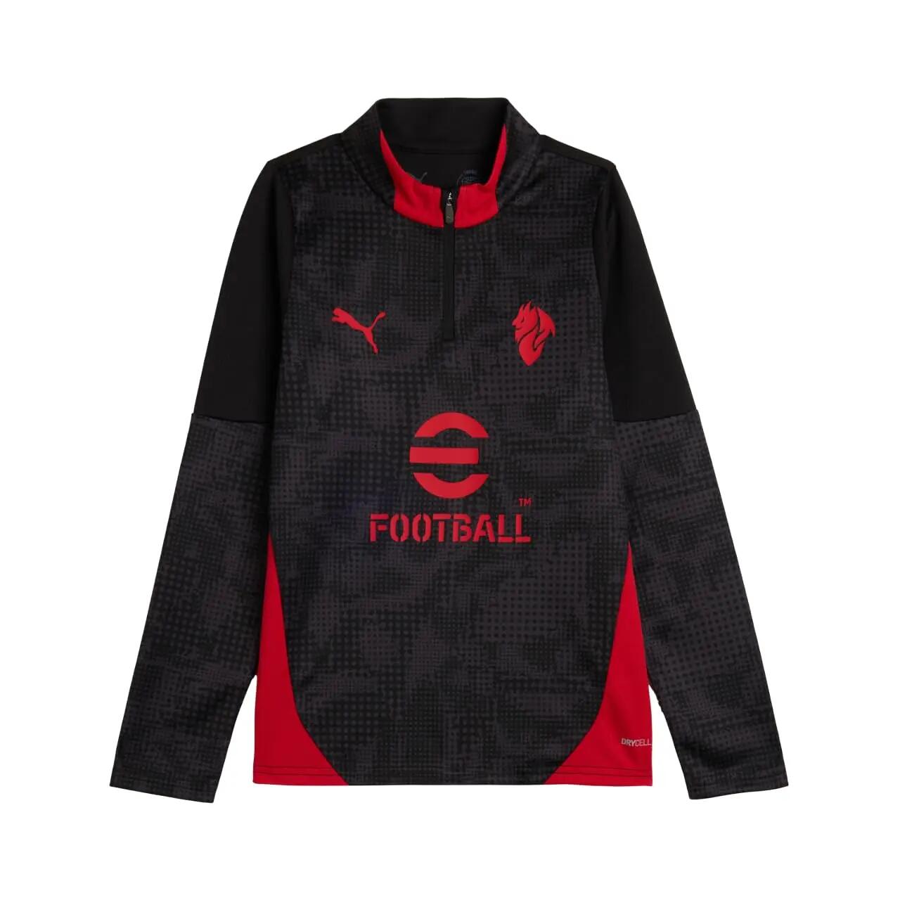 PUMA picture