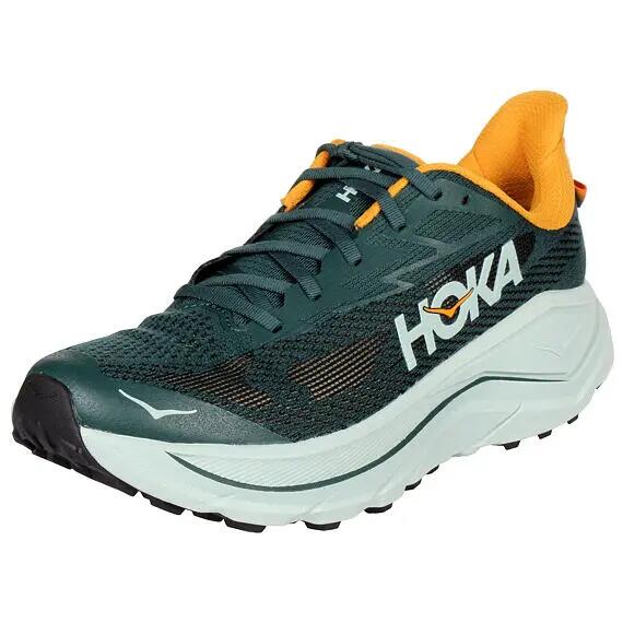 HOKA ONE ONE picture
