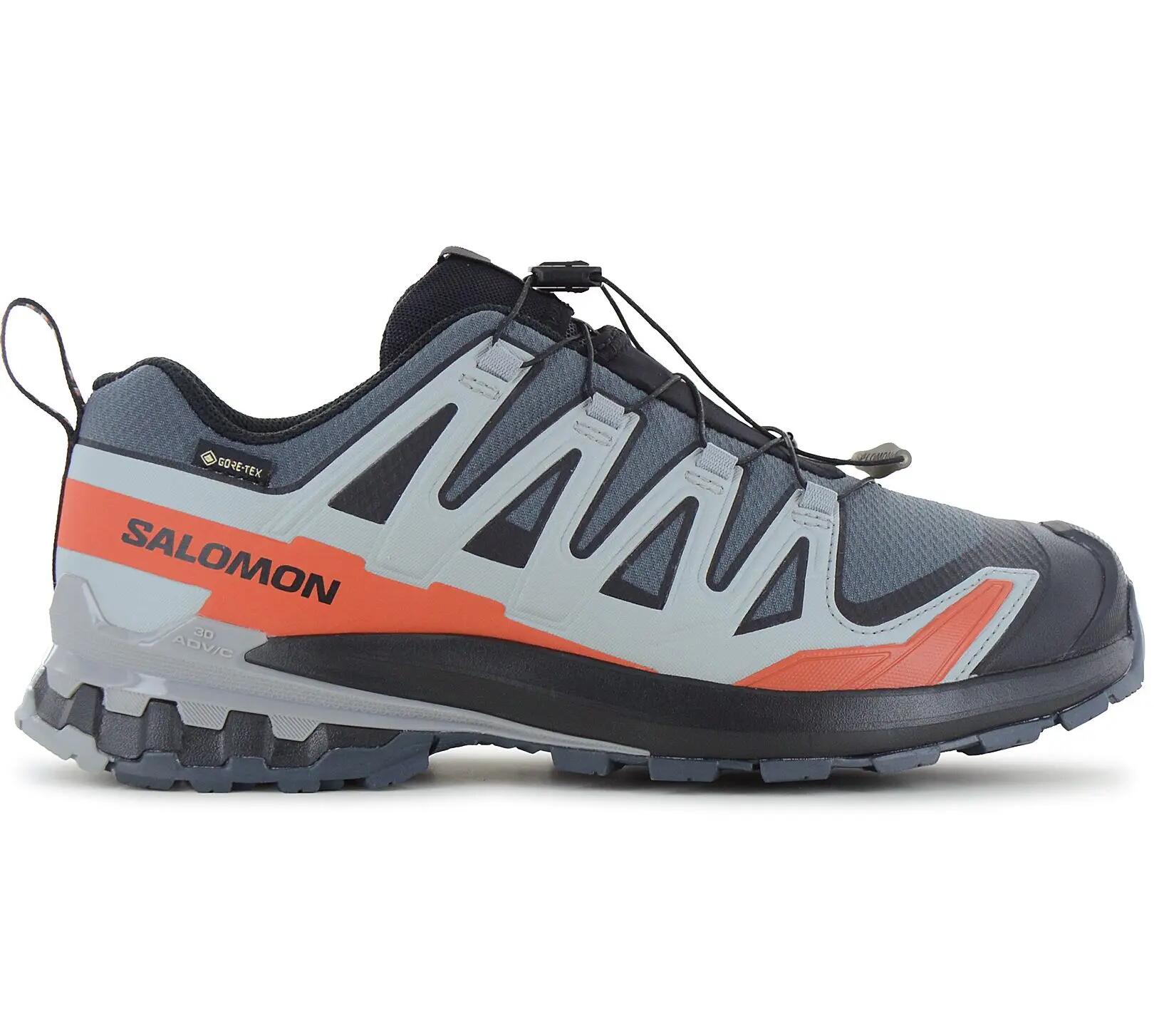 SALOMON picture
