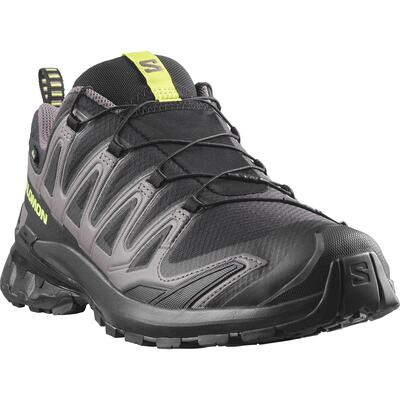 Heren - salomon xa pro 3d v9 gtx - 479873 - zwart