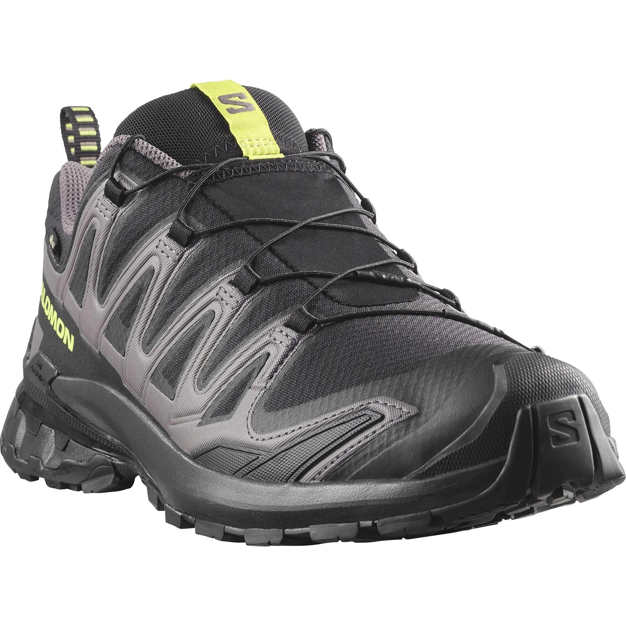 SALOMON picture