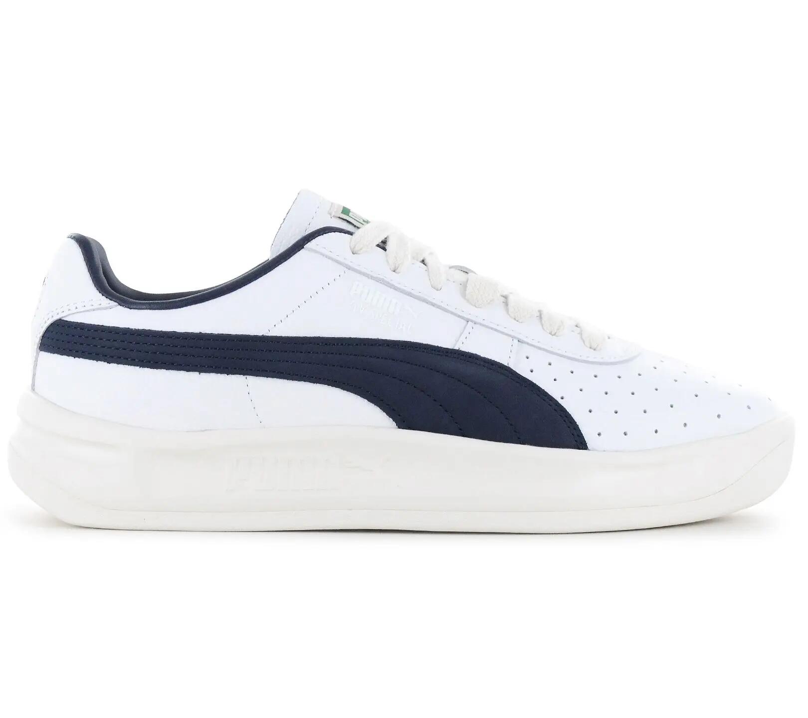 PUMA picture