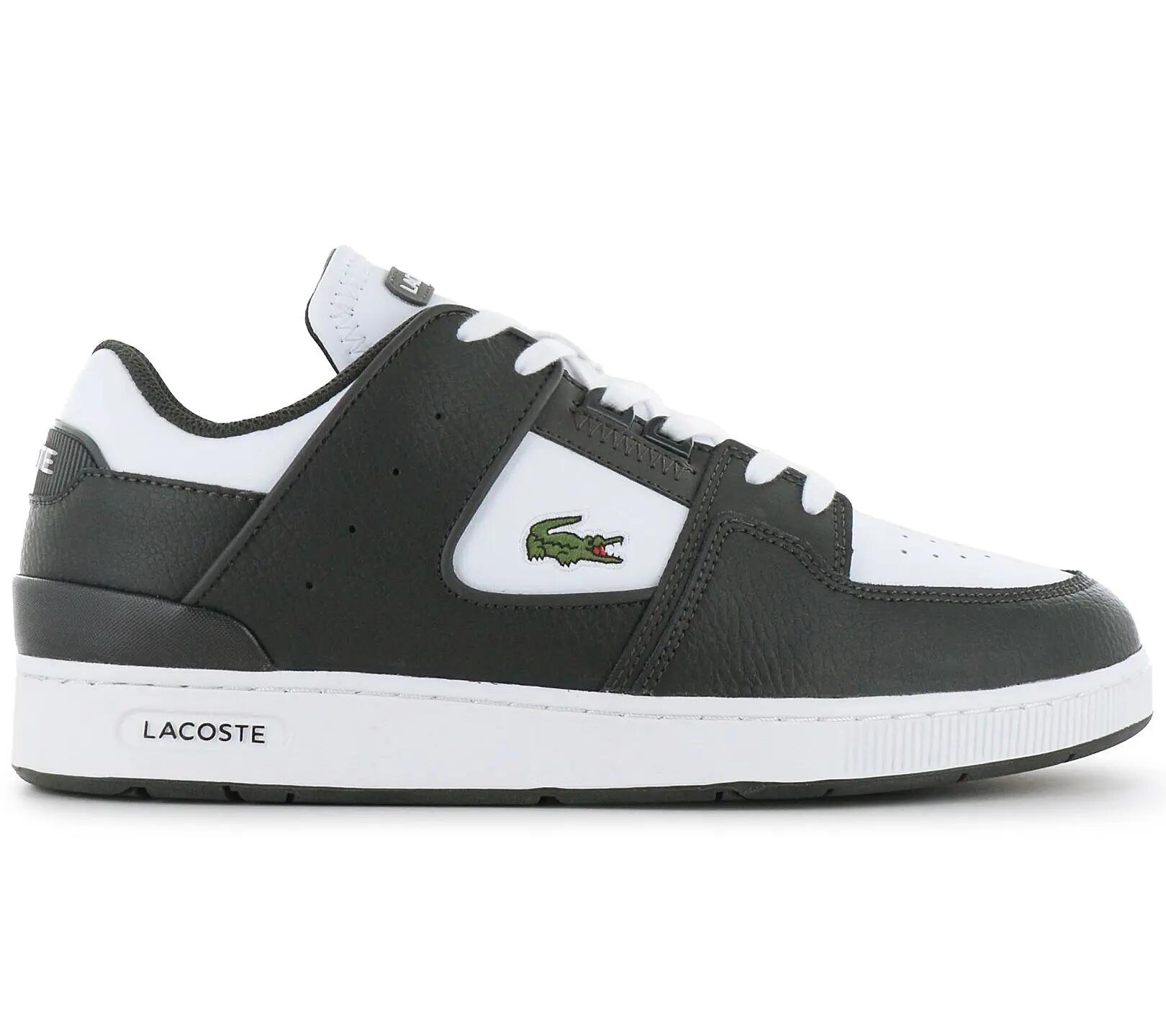 LACOSTE picture