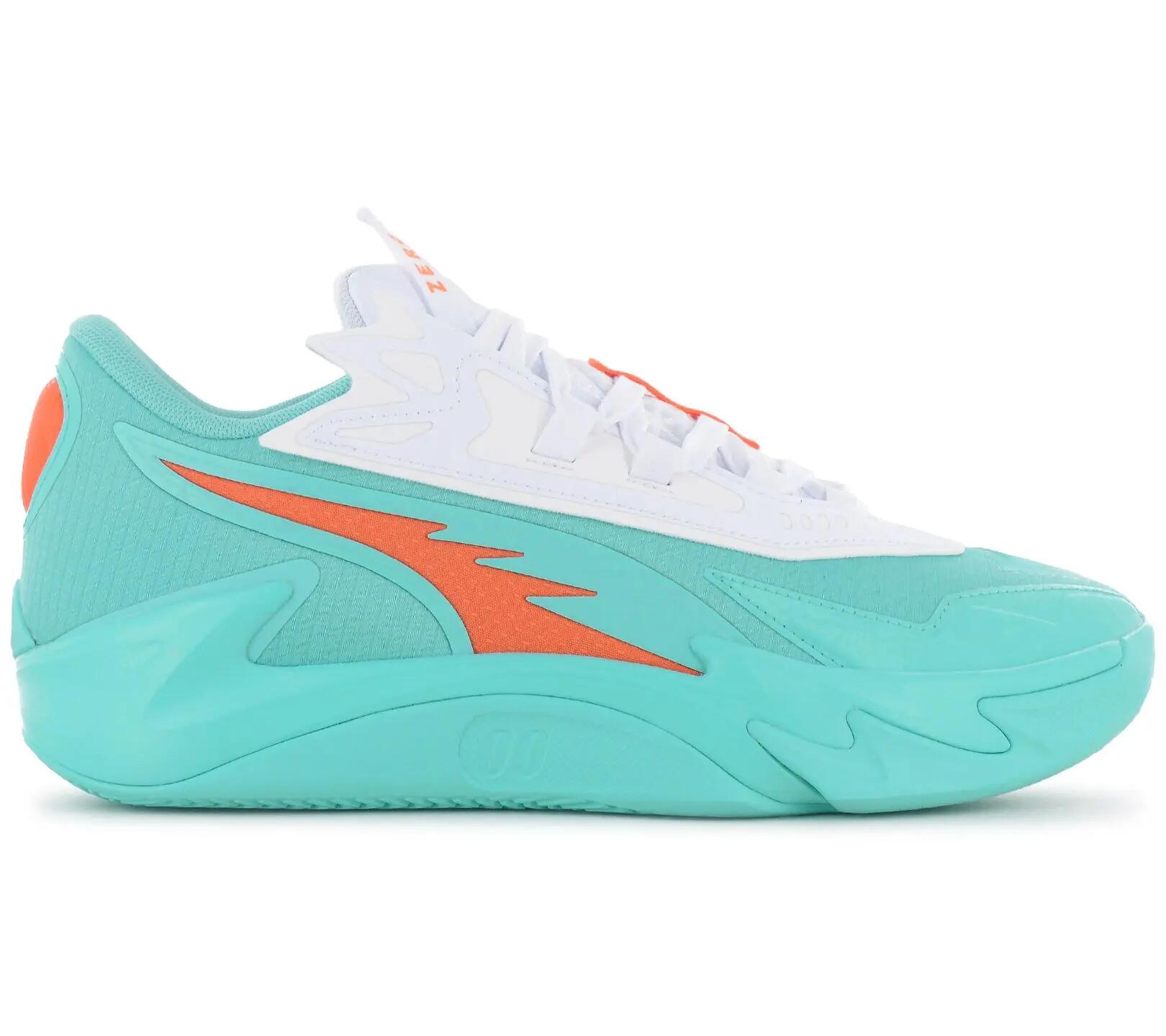PUMA picture