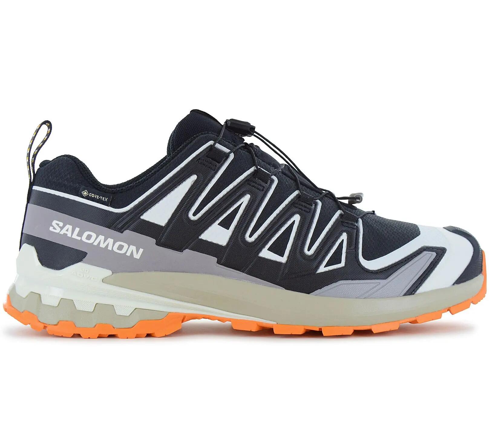 SALOMON picture