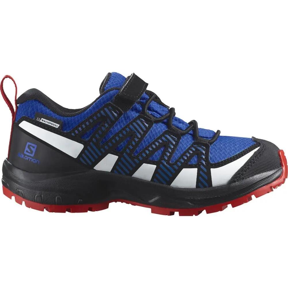 SALOMON picture