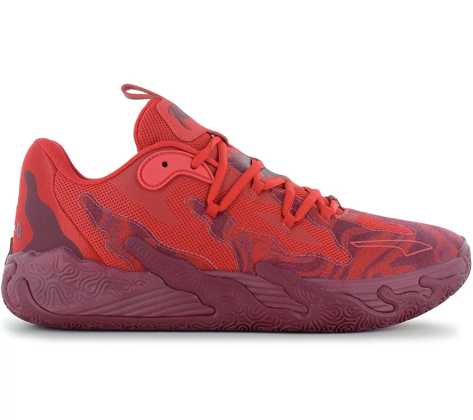 PUMA picture
