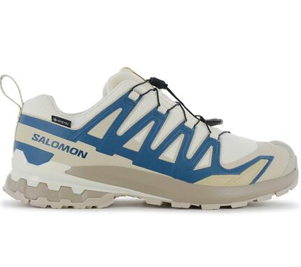 Homme - Salomon XA Pro 3D V9 GTX - 479875 - Beige