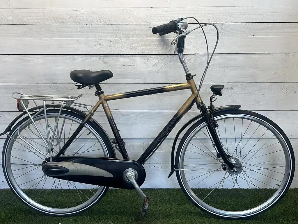 BATAVUS picture