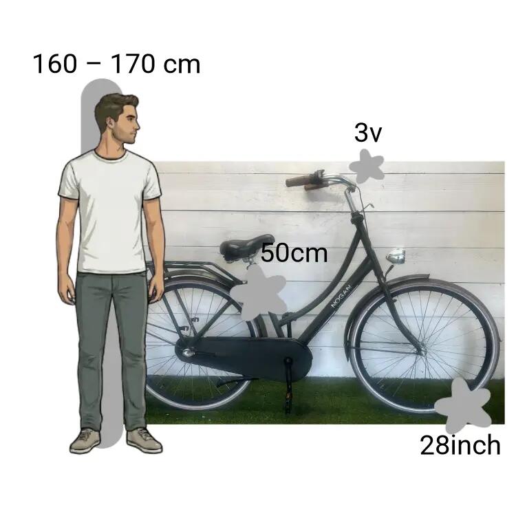 Bicicletta usata Nogan 2/4