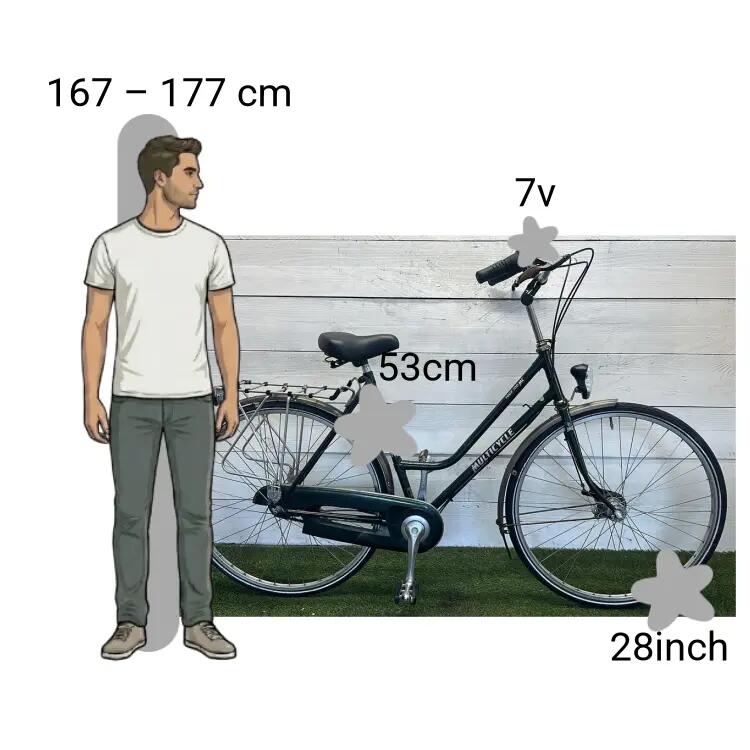 Bicicletta usata Multicycle MC Tour 2/4
