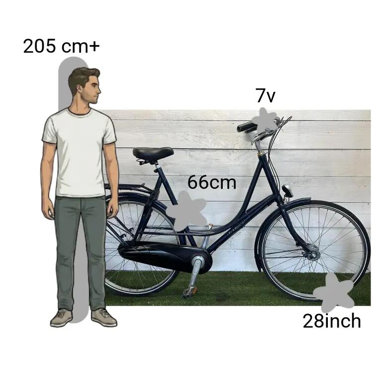 Bicicleta usada Batavus  XXXL FRAME 2/4