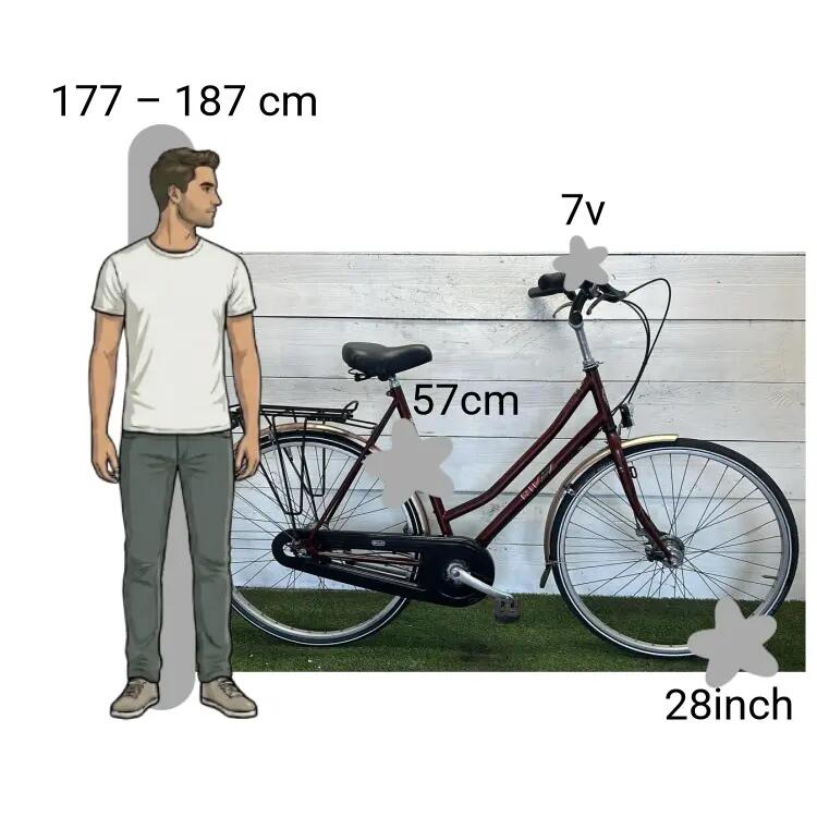Bicicletta usata Rivel Line 2/4