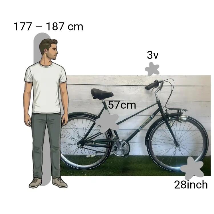 Bicicletta usata Popal Groene 2/4