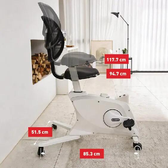 Tunturi DB 132 Home Office Bisikleti