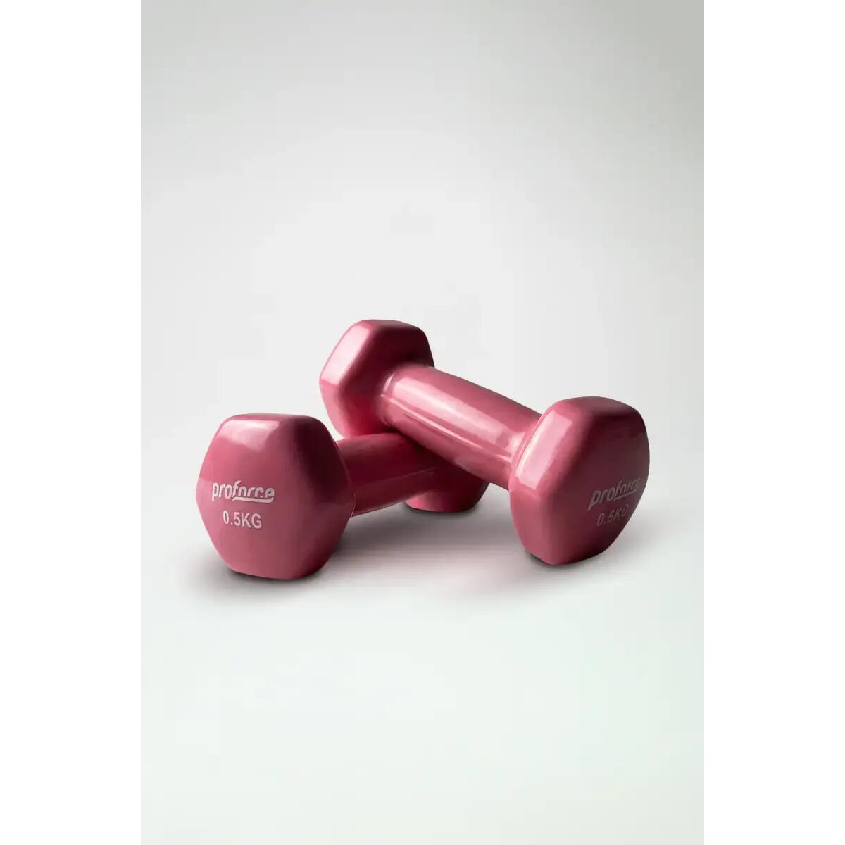 Vinil Kaplı Döküm Dambıl 0,5 Kg    (Adet)