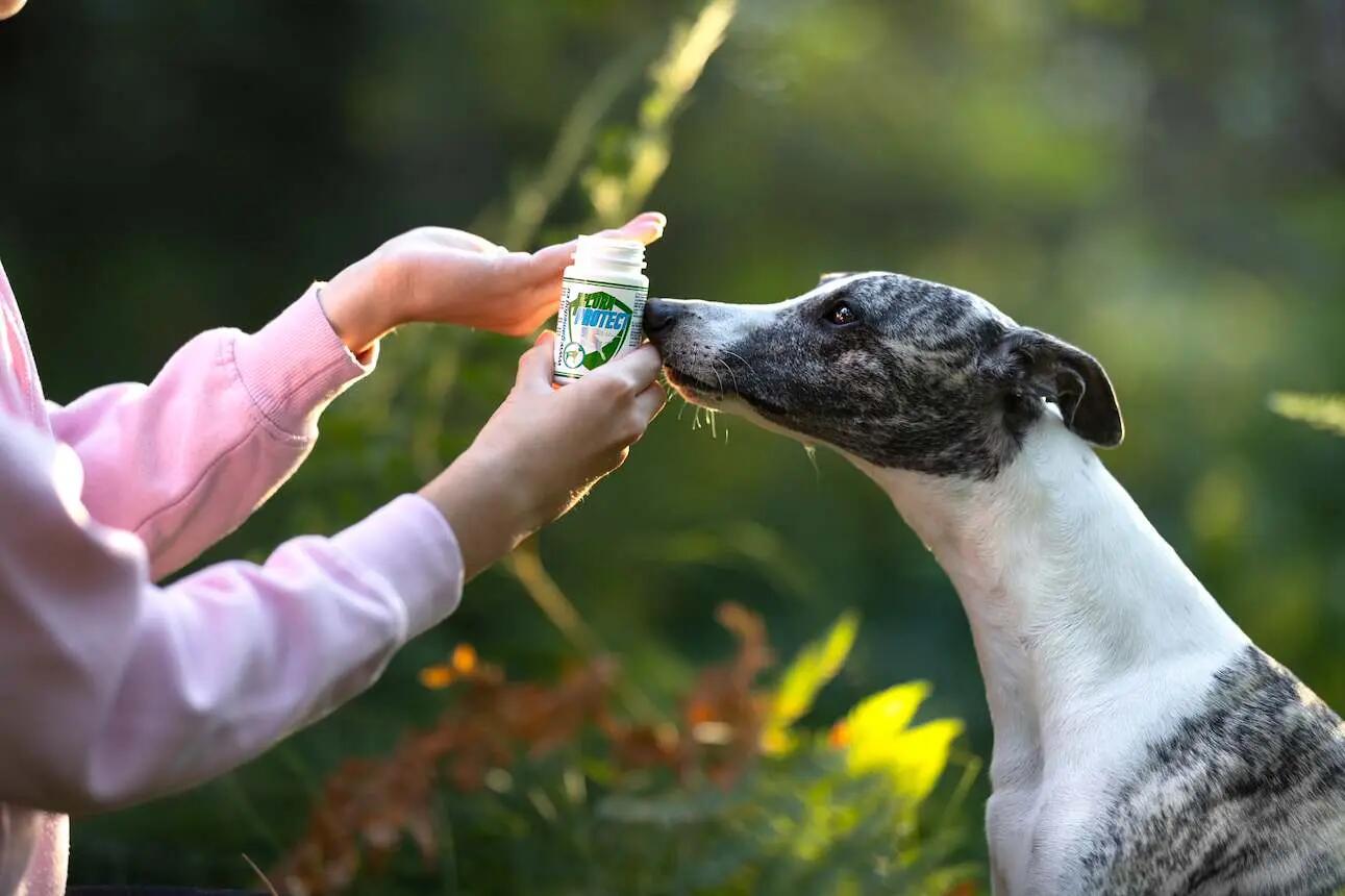 Zaawansowany probiotyk dla psów Game Dog Flora Protect 60 kapsułek 6/7