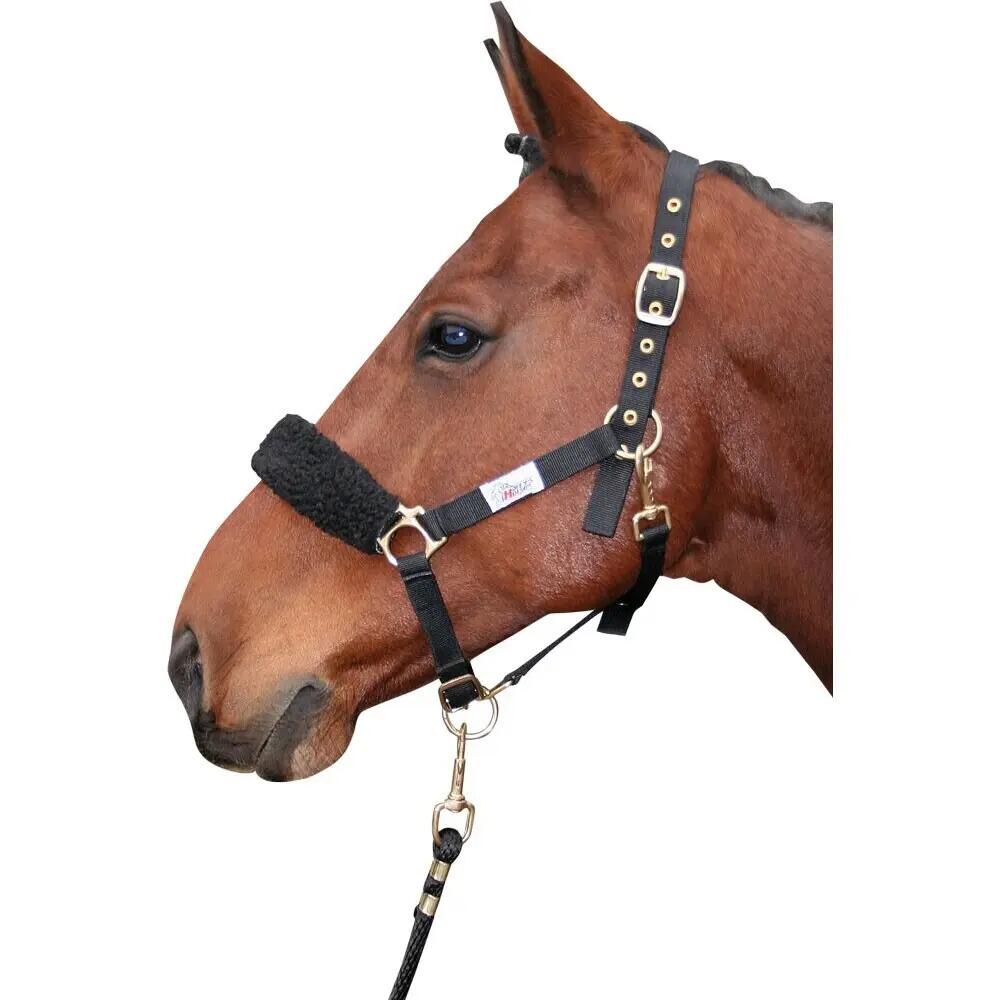 Bandeau nasal synthétique 2/2