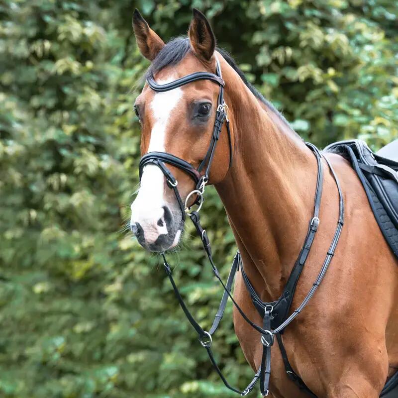 Martingale für Pferd mit weicher Polsterung Kavalkade Azriel 2/4