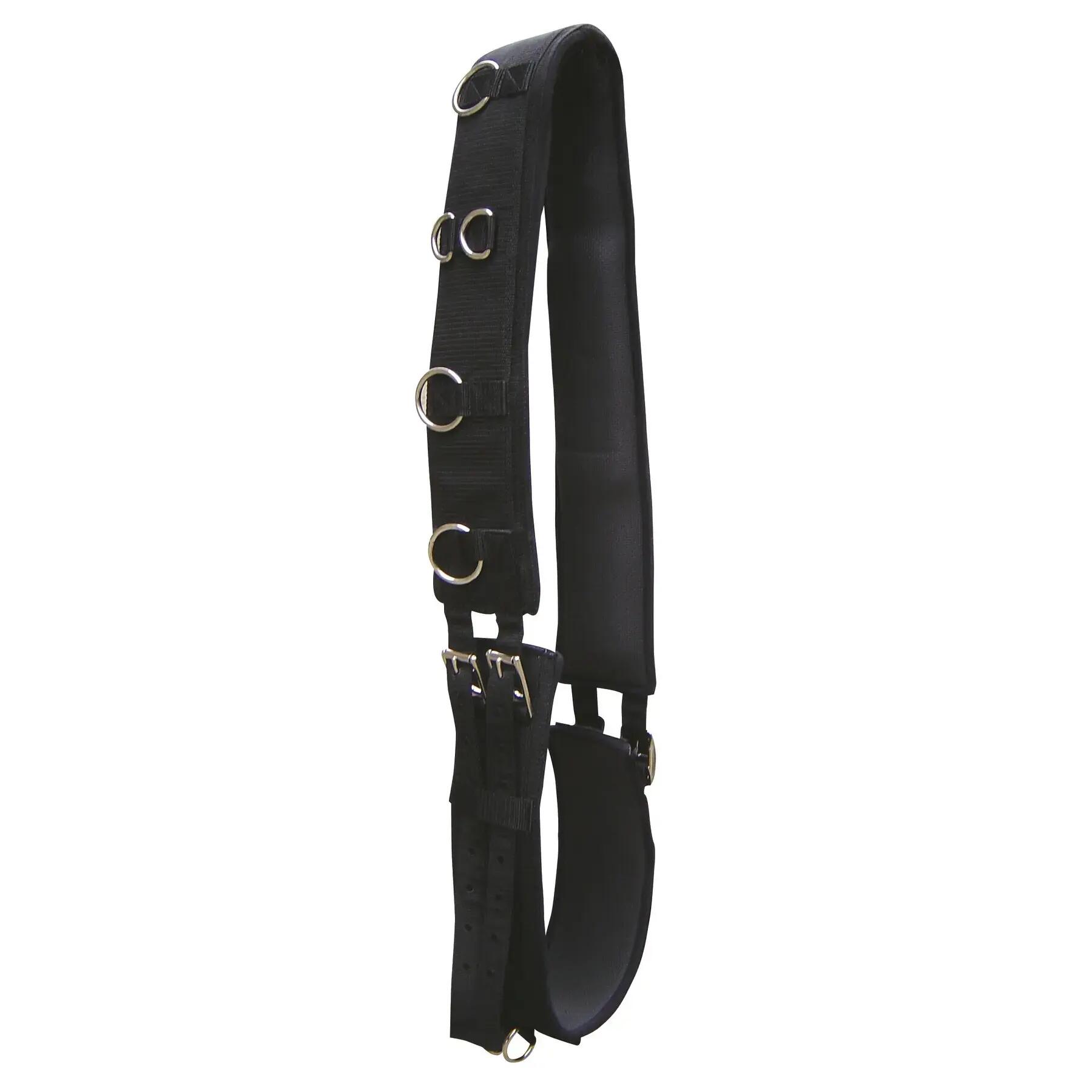 Surfix für Pferd Luxus Harry's Horse 2/2
