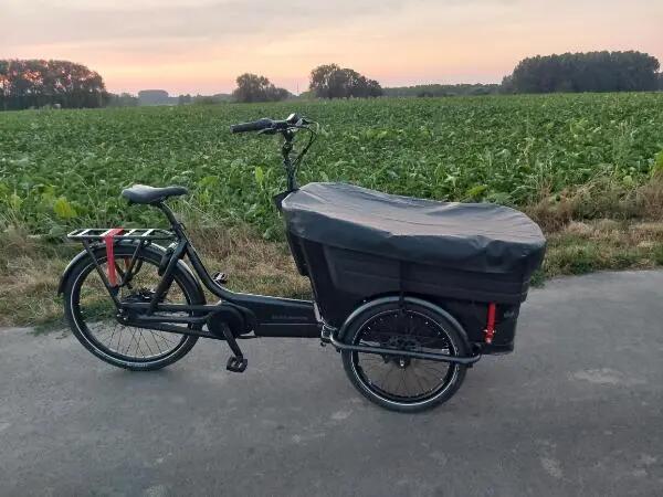 BATAVUS picture