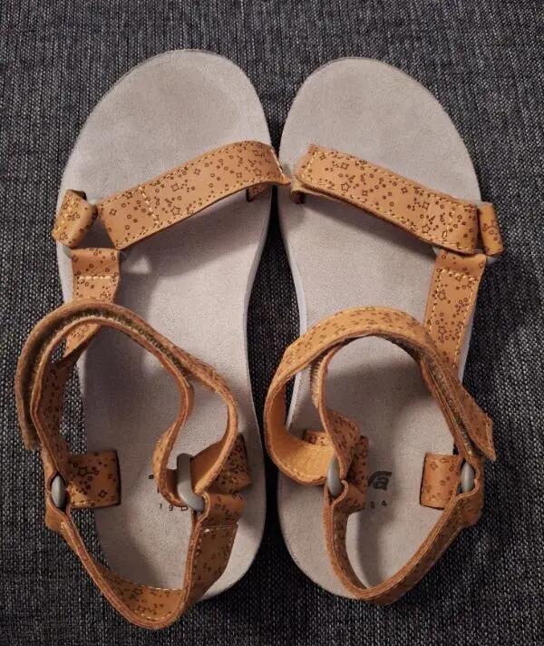 TEVA picture