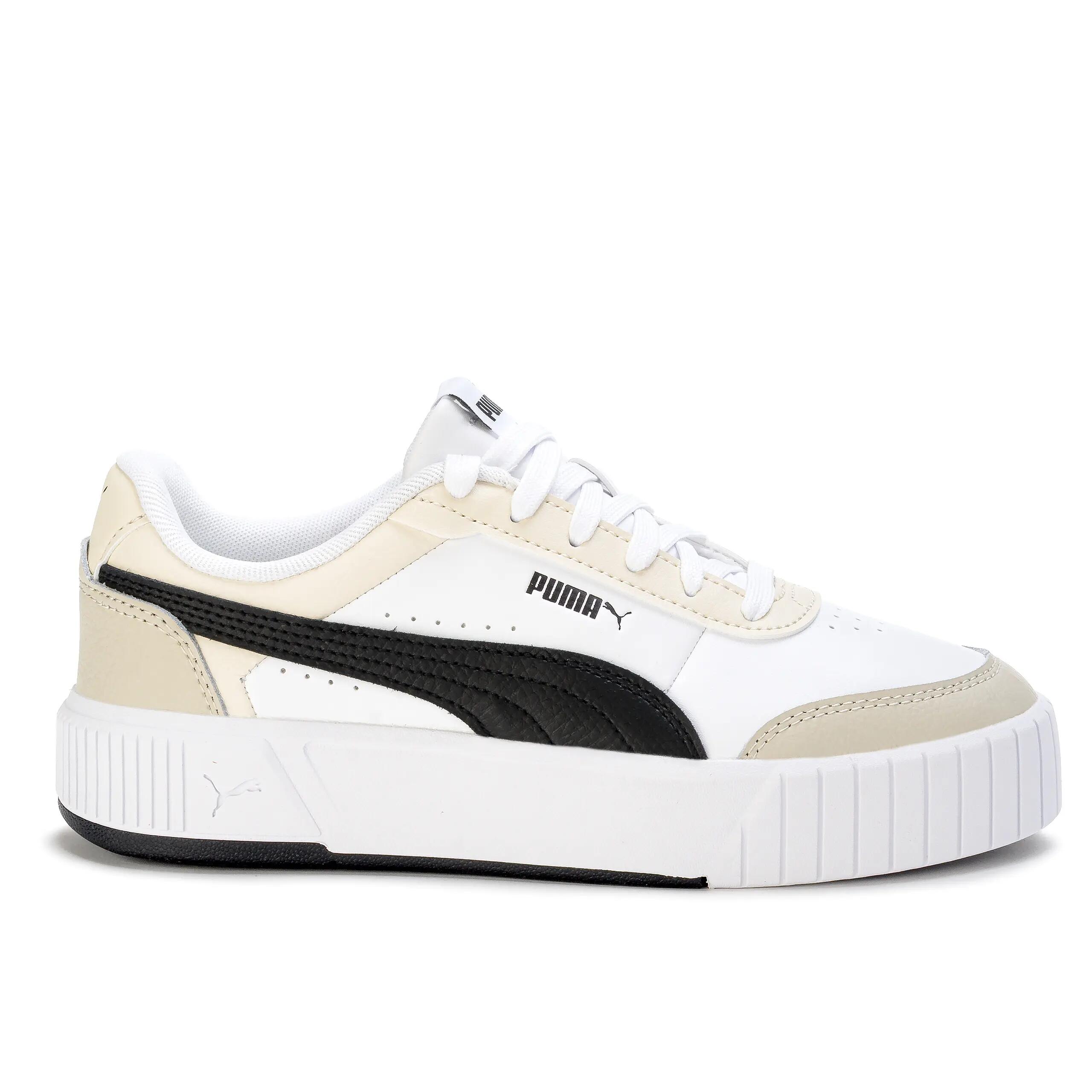 PUMA picture