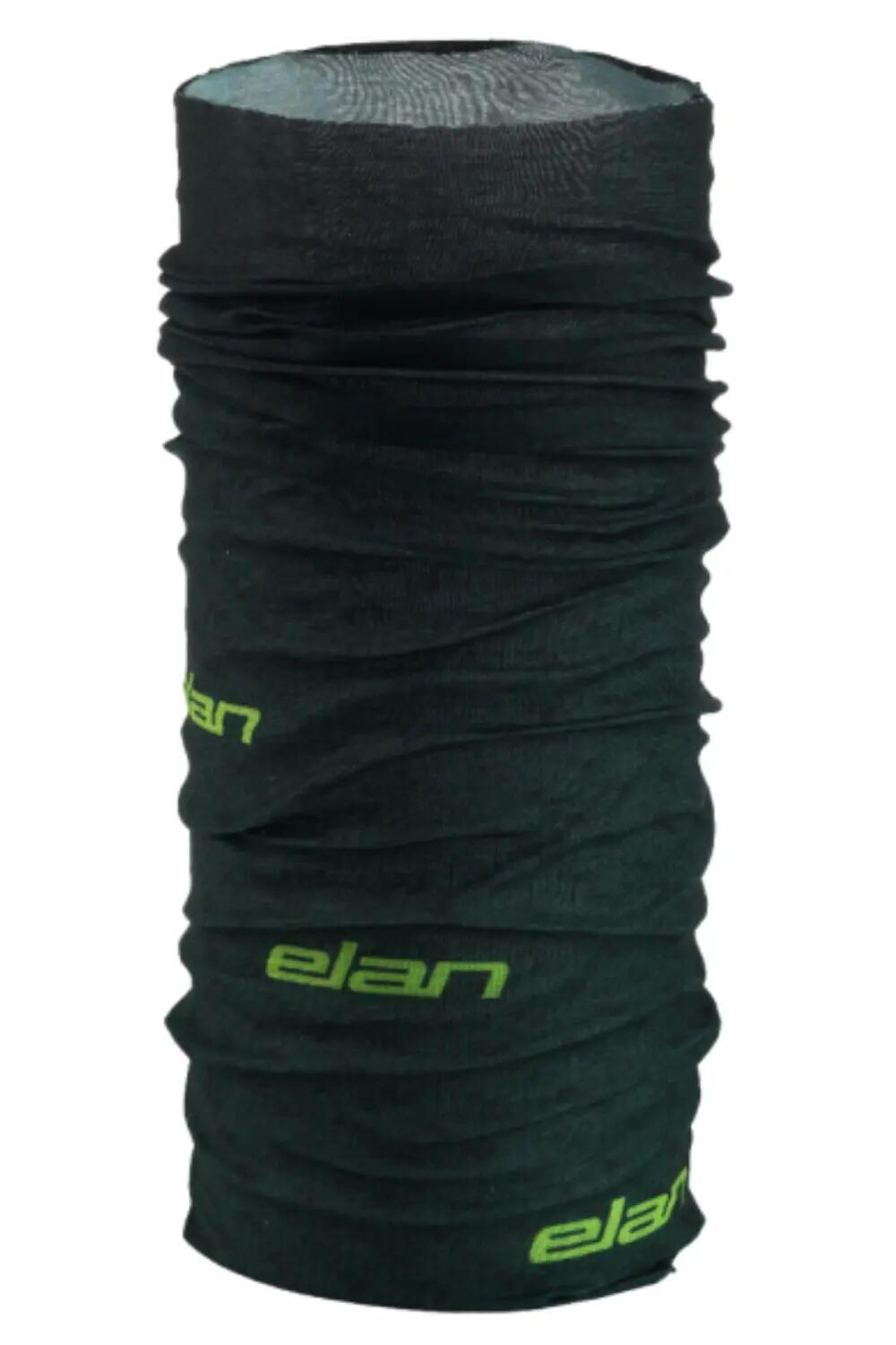 ELAN picture
