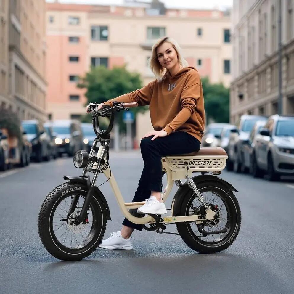 Vélo électrique adulte W77 : batterie 48V 18Ah. 8/9
