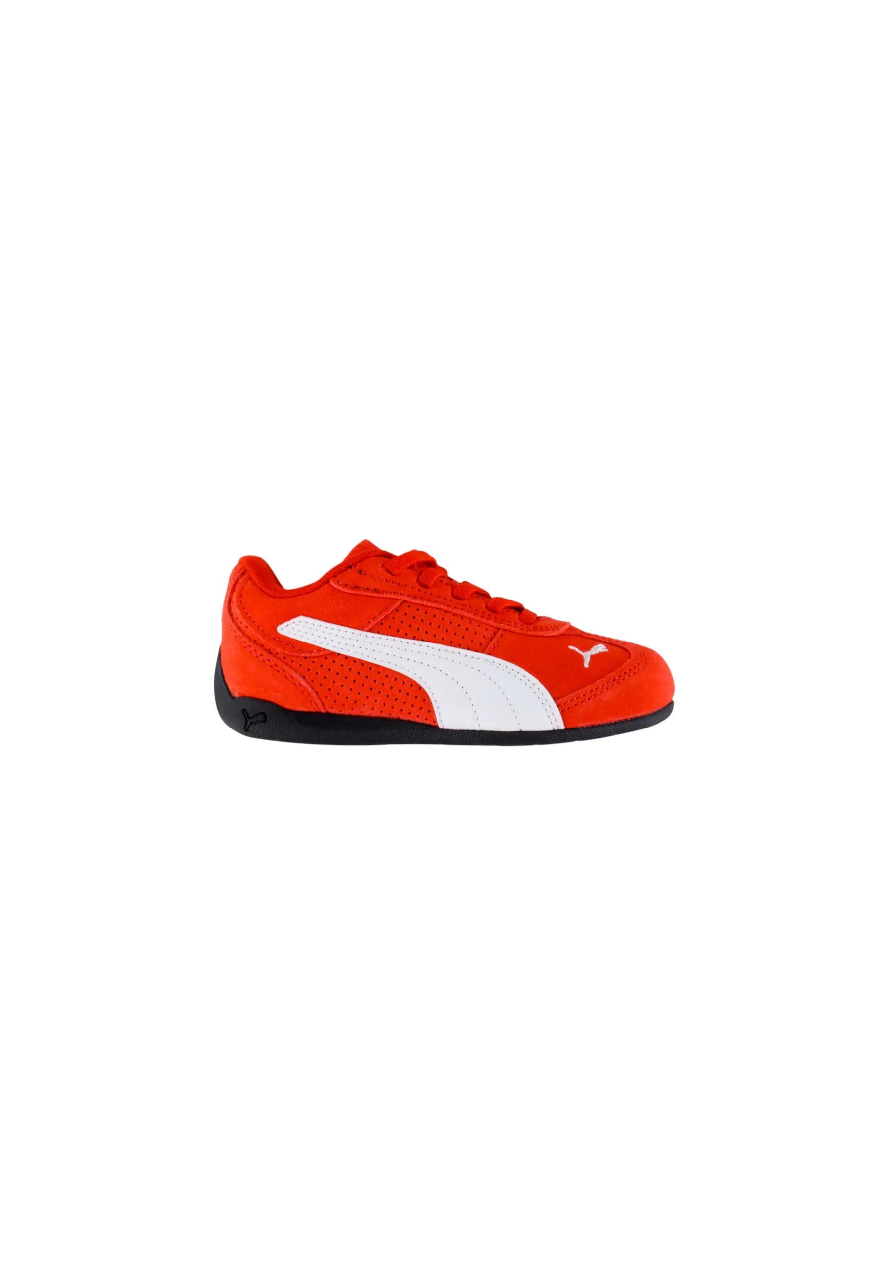 PUMA picture