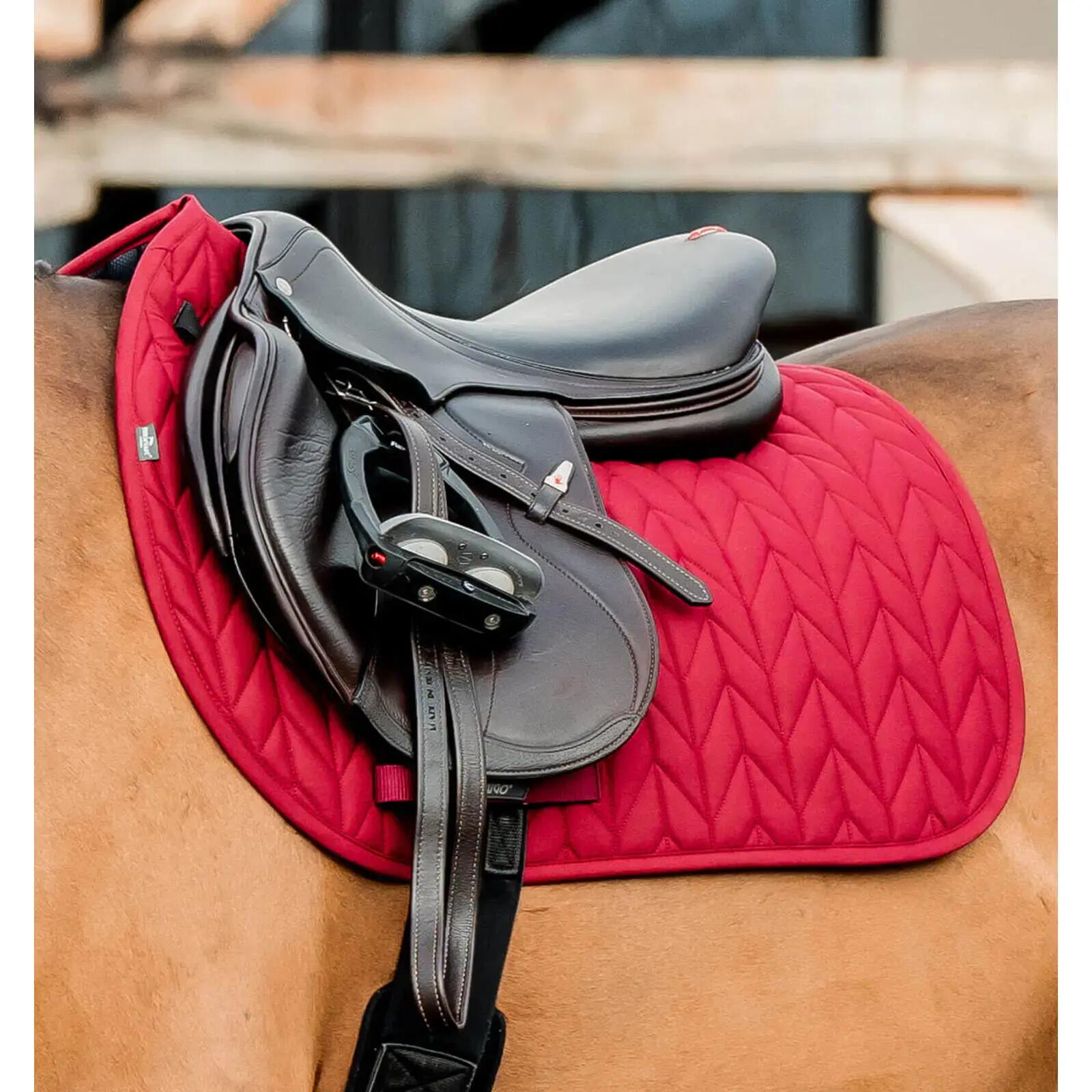 HORSEWARE IRELAND picture