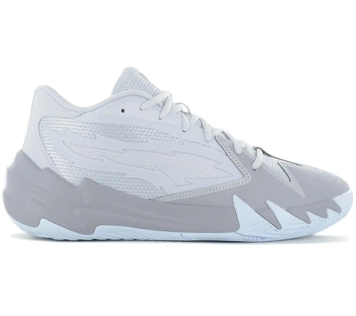 PUMA picture