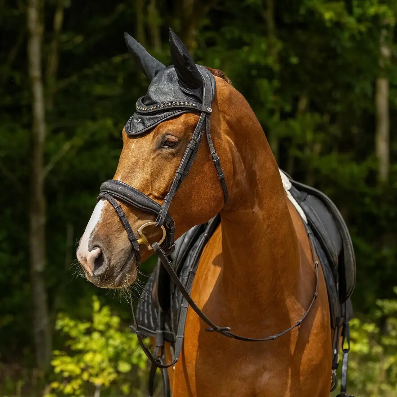 Bonnet pour cheval court QHP Glitter 4/7