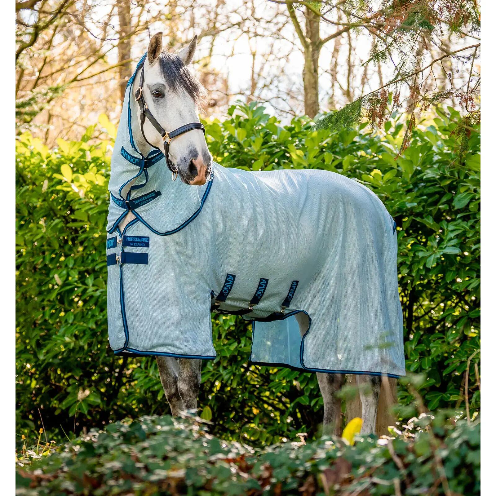 HORSEWARE IRELAND picture
