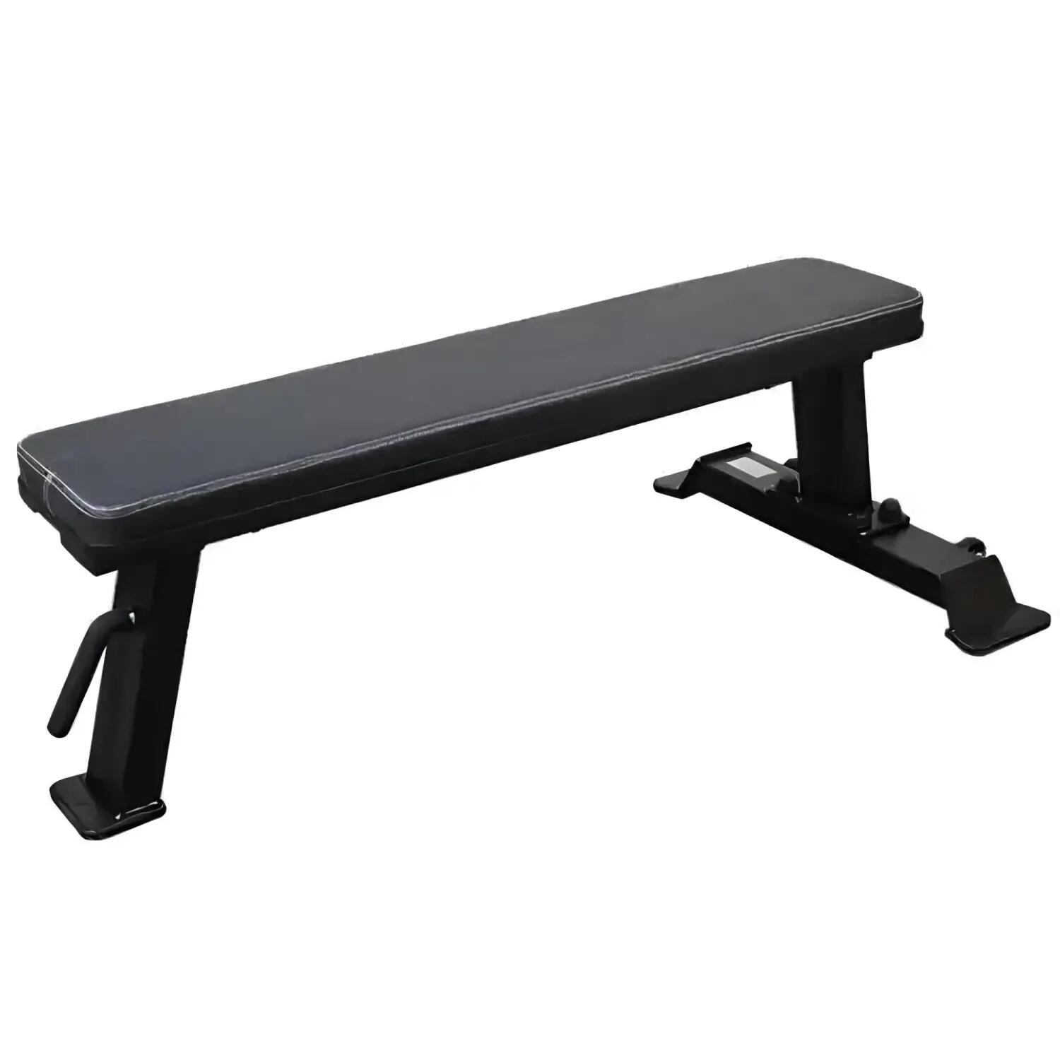 Panca Piana Professionale - Bodybuilding | PPD10 2/6