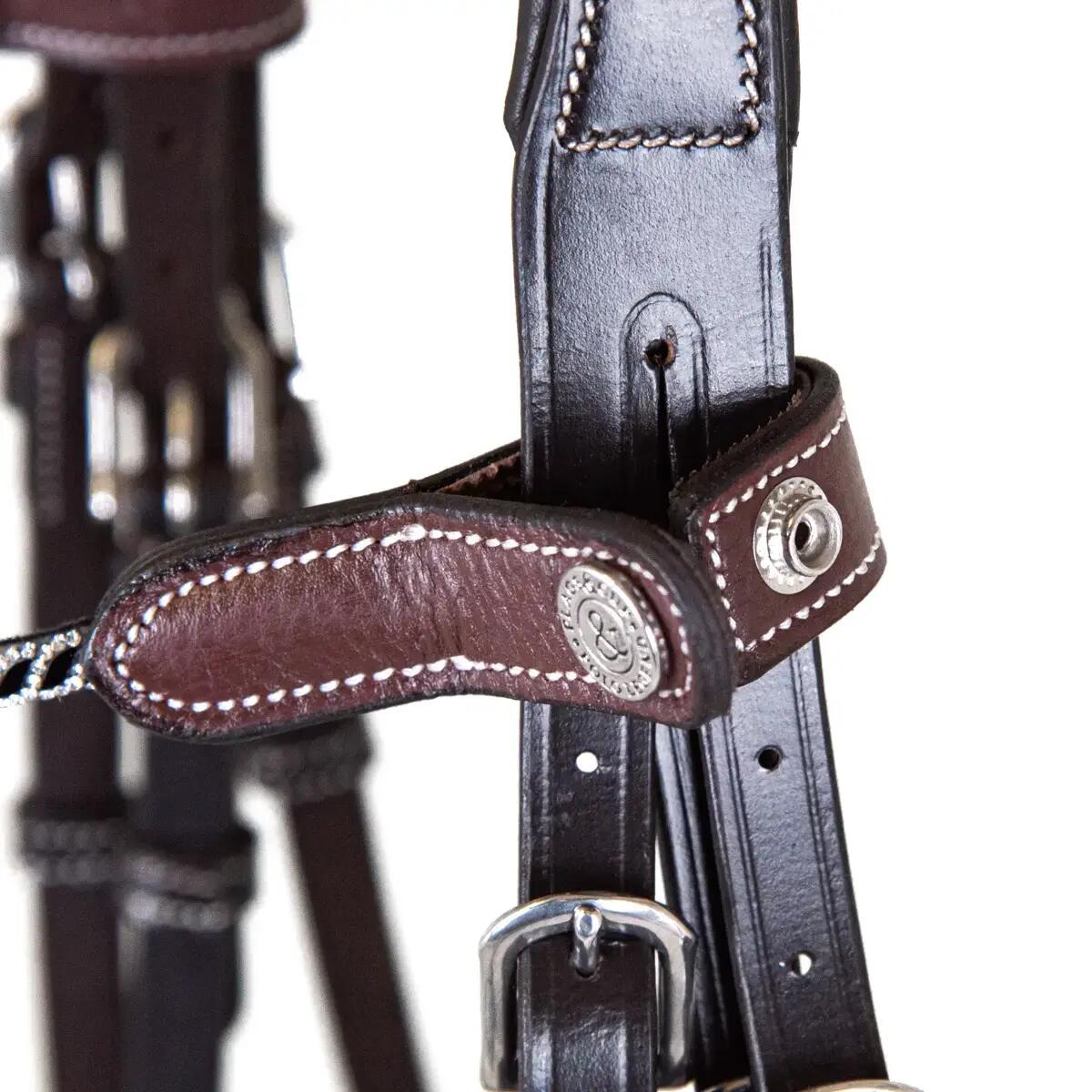 Stirnband für Pferd Flags&Cup Las Vegas 3/6