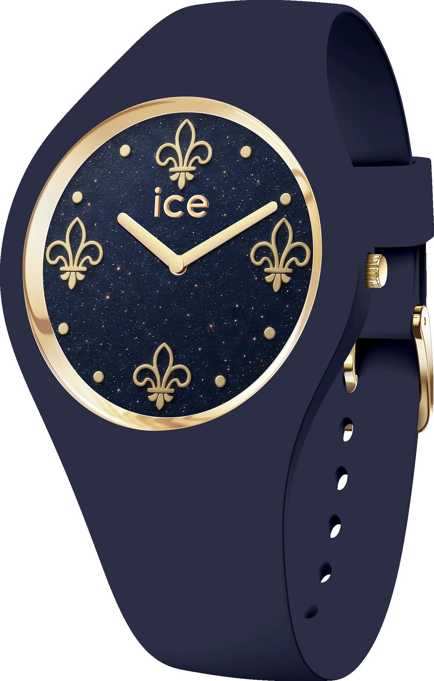 ICE WATCH picture